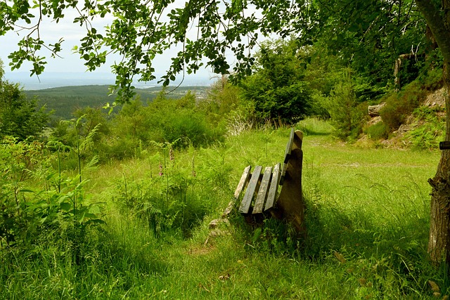 闻发布会上 闻发布会上