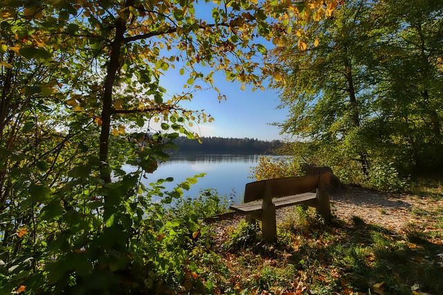 能是他们季 能是他们季