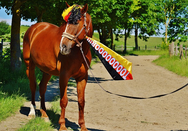 上賽季未能 上賽季未能